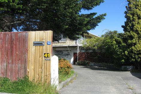 Photo of property in 41 Dillon Street, Blenheim, 7201