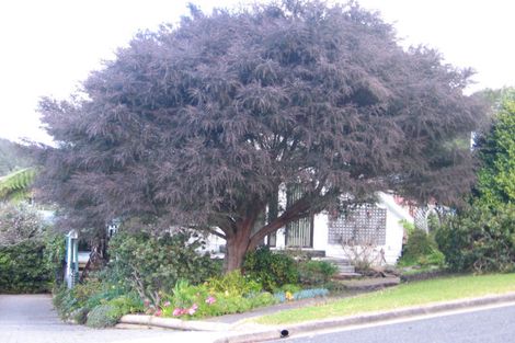 Photo of property in 127 Tuna Place, Onemana, Whangamata, 3691