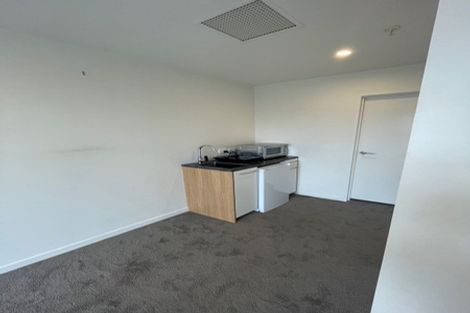 Photo of property in Vsp South, 301/168 Victoria Street, Te Aro, Wellington, 6011