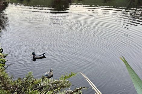 Photo of property in 152 Turner Road, Whakamarama, 3181