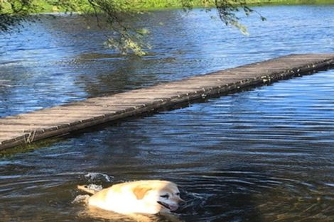 Photo of property in 63 Miles Lane, Tauriko, Tauranga, 3110