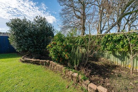 Photo of property in 17b Orchard Place, Lynmore, Rotorua, 3010