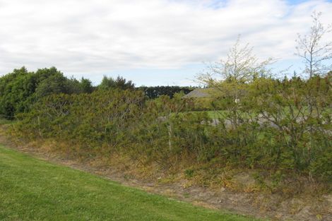 Photo of property in 93 Douglas Road, Amberley, 7410