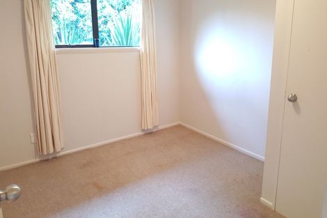 Photo of property in 3 Ballance Street, Caversham, Dunedin, 9011