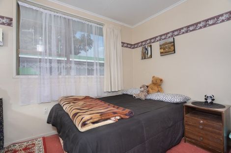 Photo of property in 17 Alexandra Street, Marton, 4710