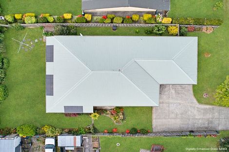 Photo of property in 5 Wilson Place, Marton, 4710