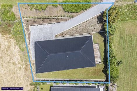 Photo of property in 6 Windsor Terrace, Feilding, 4702