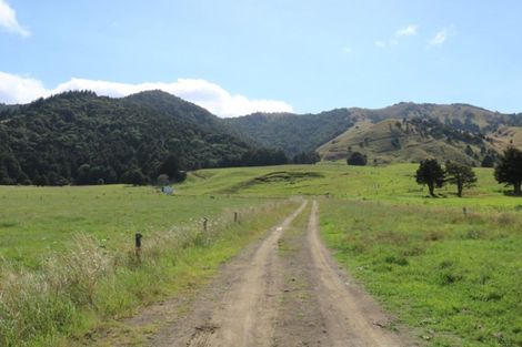 Photo of property in 1008 Tangowahine Valley Road, Tangowahine, Dargaville, 0372
