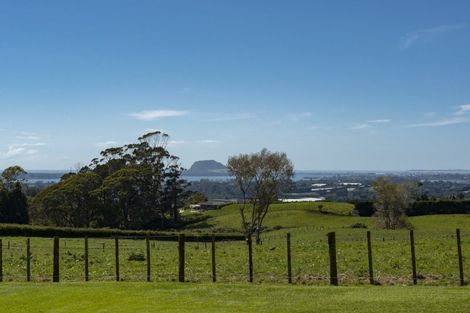 Photo of property in 423c Youngson Road, Whakamarama, Tauranga, 3179