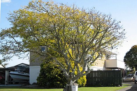 Photo of property in 105 Riverside Drive, Whakatane, 3120