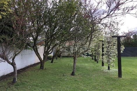 Photo of property in 8 Tekoa Street, Waiau, 7332