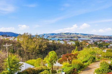 Photo of property in 11 Cross Street, Mornington, Dunedin, 9011