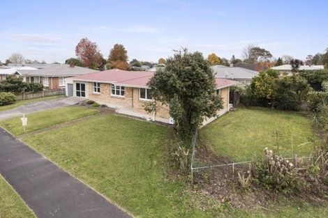 Photo of property in 2 Patricia Avenue, Hamilton East, Hamilton, 3216