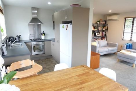 Photo of property in 146 Milton Street, Somerfield, Christchurch, 8024