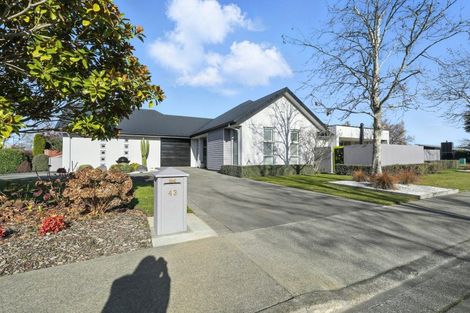 Photo of property in 43 Sycamore Close, Rangiora, 7400