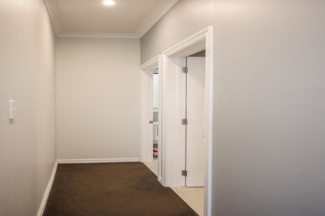 Photo of property in 2 Taine Street, North East Valley, Dunedin, 9010