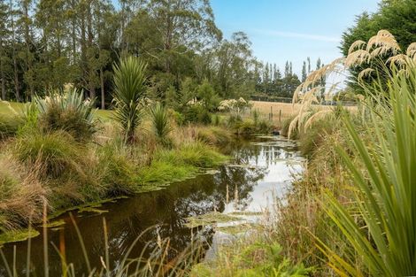 Photo of property in 84 Cover Street, Lumsden, 9730