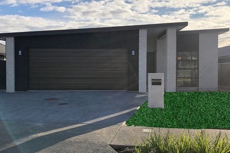 Photo of property in 55 Sentinel Avenue, Omokoroa, 3114