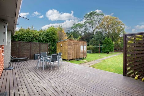 Photo of property in 10 Saint Albans Street, Bradford, Dunedin, 9011