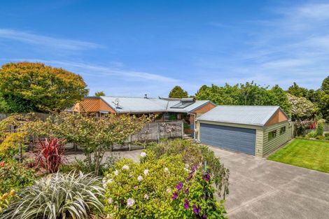 Photo of property in 37 Cassandra Street, Stratford, 4332