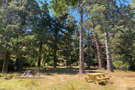 Photo of property in 16 Robinson Street, Cheviot, 7310