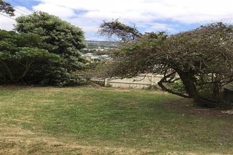 Photo of property in Wellington East Girls College, 142 Austin Street, Mount Victoria, Wellington, 6011