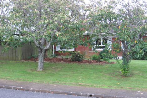 Photo of property in 17 Lipscombe Avenue, Papatoetoe, Auckland, 2025