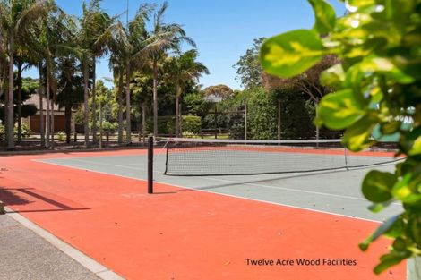 Photo of property in 16 Contour Avenue, Pyes Pa, Tauranga, 3112