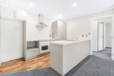 Photo of property in 121a Tristram Street, Hamilton Central, Hamilton, 3204