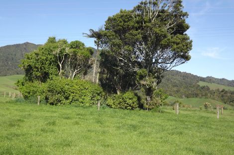 Photo of property in 669b Te Hutewai Road, Raglan, 3296
