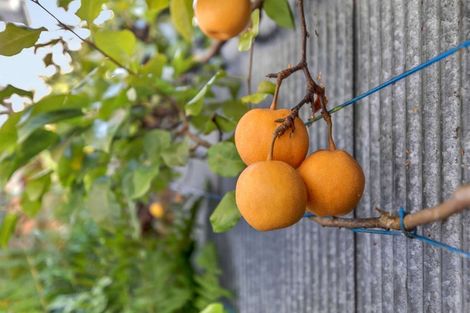 Photo of property in 52 Wesley Street, Kaiapoi, 7630