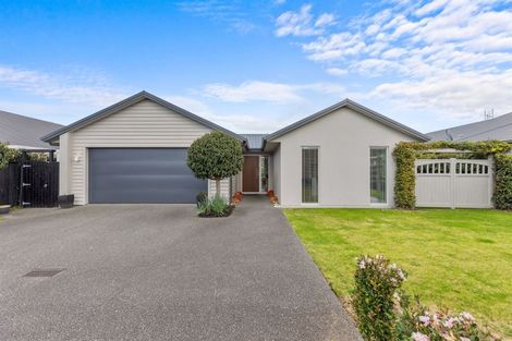 Photo of property in 87 Carmichael Road, Bethlehem, Tauranga, 3110