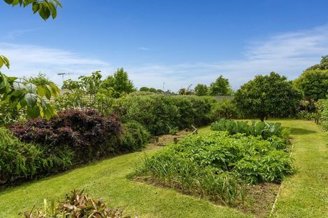 Photo of property in 40 Beaumaris Boulevard, Bethlehem, Tauranga, 3110