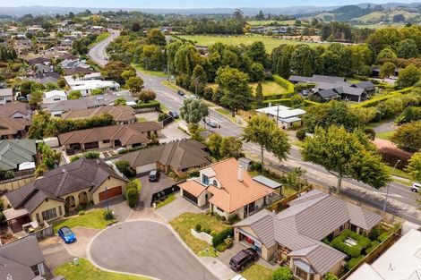 Photo of property in 12 Doneraille Place, Bethlehem, Tauranga, 3110