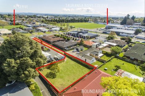 Photo of property in 127a Fourteenth Avenue, Tauranga South, Tauranga, 3112