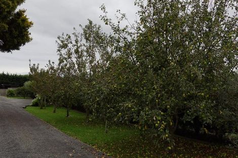 Photo of property in 86 Gladstone Road, Levin, 5571