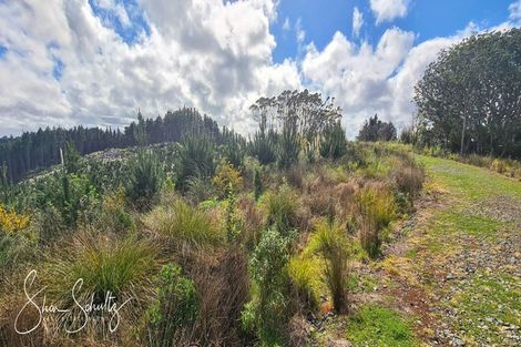 Photo of property in 872 Bickerstaffe Road, Maungaturoto, 0587