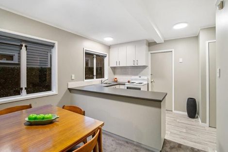 Photo of property in 5 Woodward Road, Mount Albert, Auckland, 1025