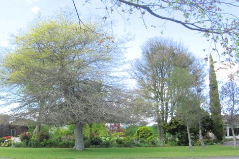 Photo of property in 98 Burwood Road, Matamata, 3400