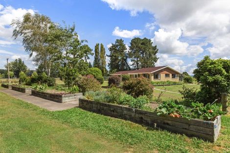 Photo of property in 131 Tarr Road, Ohaupo, 3881