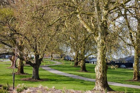 Photo of property in 123 Marsh Avenue, Morrinsville, 3300