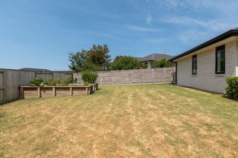Photo of property in 29 Lynley Park Drive, Omokoroa, 3114