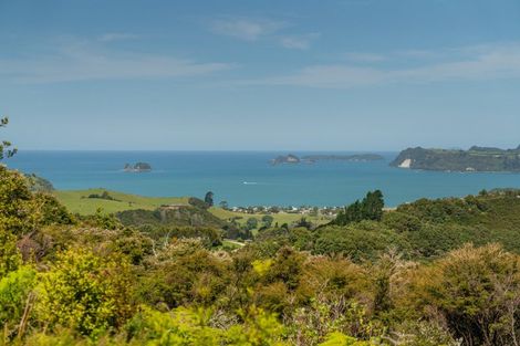 Photo of property in 57 Tarapatiki Drive, Whitianga, 3510
