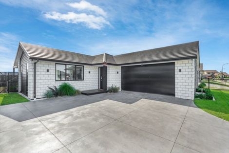 Photo of property in 23 Ladeira Place, Fitzroy, Hamilton, 3206