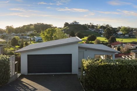 Photo of property in 15 Ohinemuri Place, Paeroa, 3600