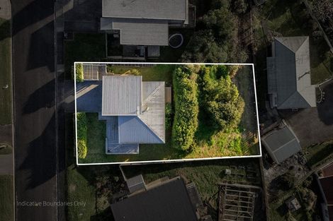 Photo of property in 15 Ohinemuri Place, Paeroa, 3600