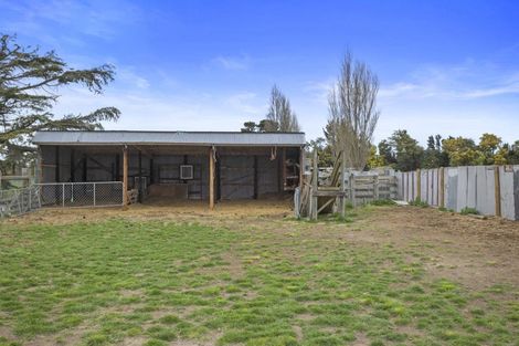 Photo of property in 176 Amberley Beach Road, Amberley, 7481