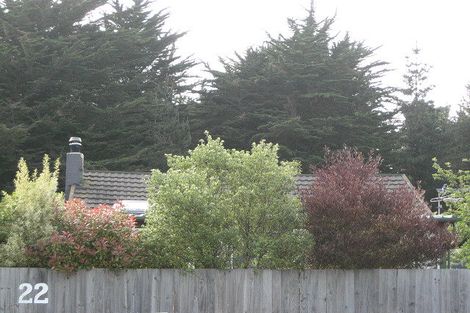 Photo of property in 22 Pine Avenue, Waikuku Beach, 7473