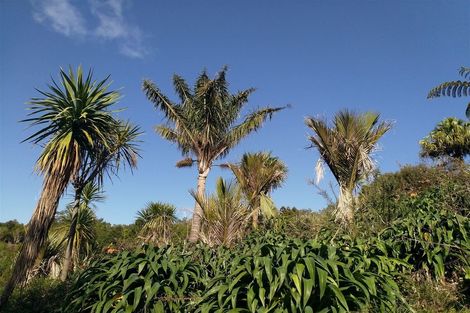 Photo of property in 75a Cottle Hill Drive, Kerikeri, 0293