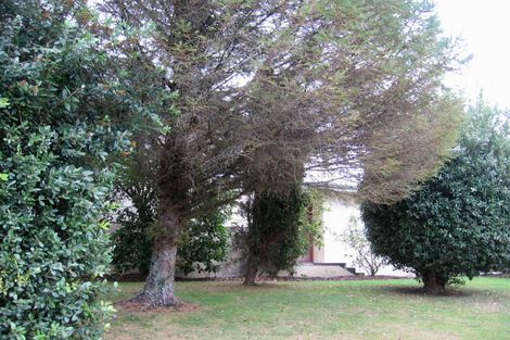 Photo of property in 14 Dewe Avenue, Feilding, 4702